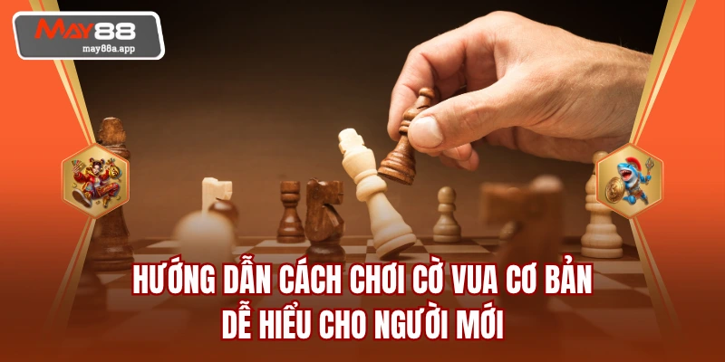 Hướng Dẫn Cách Chơi Cờ Vua Cơ Bản, Dễ Hiểu Cho Người Mới